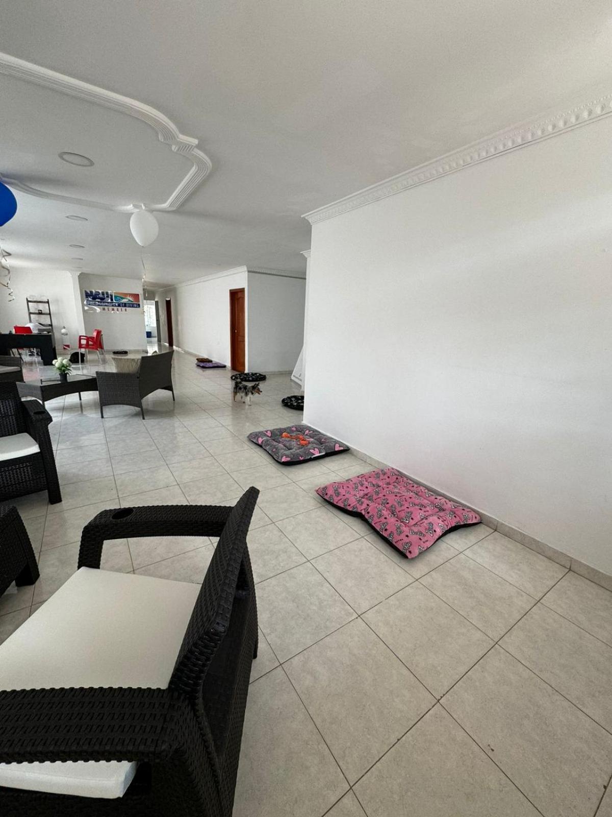 Calipso Dive And Pet Center Hotel - Santa Marta (Magdalena) — Photos 3